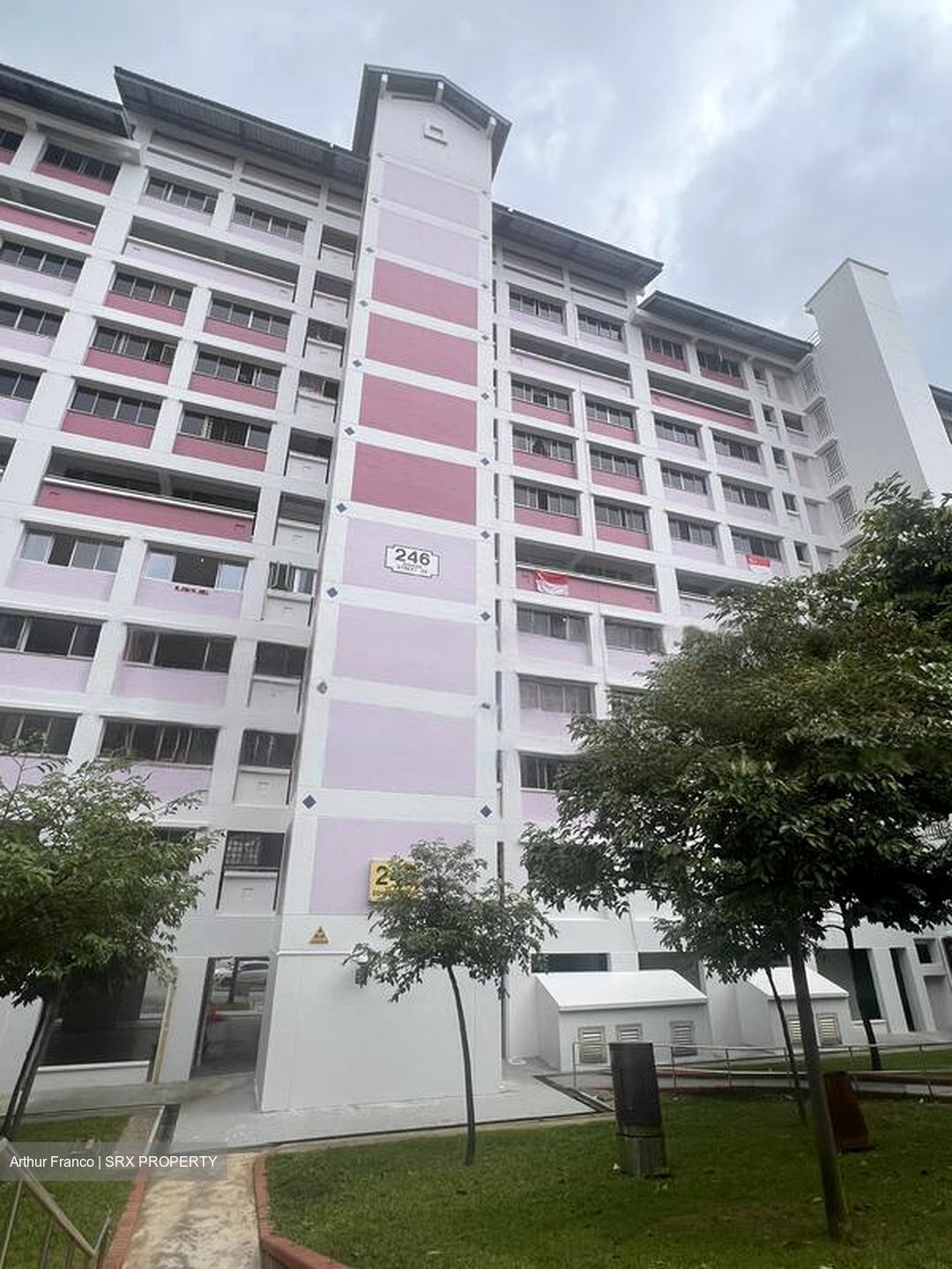 Blk 246 Bishan Street 22 (Bishan), HDB 4 Rooms #470126661